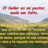 renzo goycochea