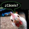 Komando Karajillo