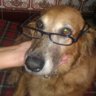Eva Alabau