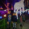 Brodo