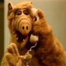 alf464