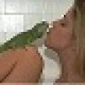 iguana20