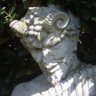ammon