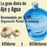 ajoyagua