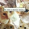 NonaSanz