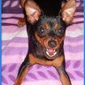Giuby