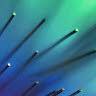 Kapils