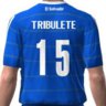 Tribulete