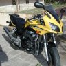 reymoll