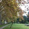 linusuli