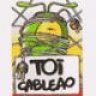 cableao