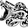petersnake81