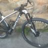 borja175