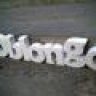 oblongo