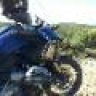 vicentyco