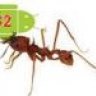 ant32