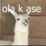 Markus M Elyes