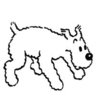 mancerano