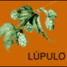 lupulo