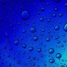 Luminol