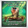 vynk_es