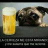 kiperelo