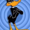 Calvito70