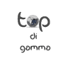 topdigamma.it