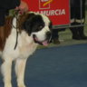 rilo121008