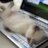 adri_nstr