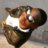 gamervick