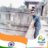 roshan chauhan