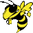 ElAvispao