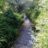 azimut433