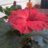 jose vicente 59