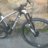 borja175
