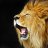 deivid_c
