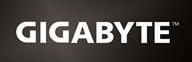 Foro Gigabyte Logo
